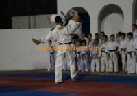 karate (61) (Αντιγραφή)